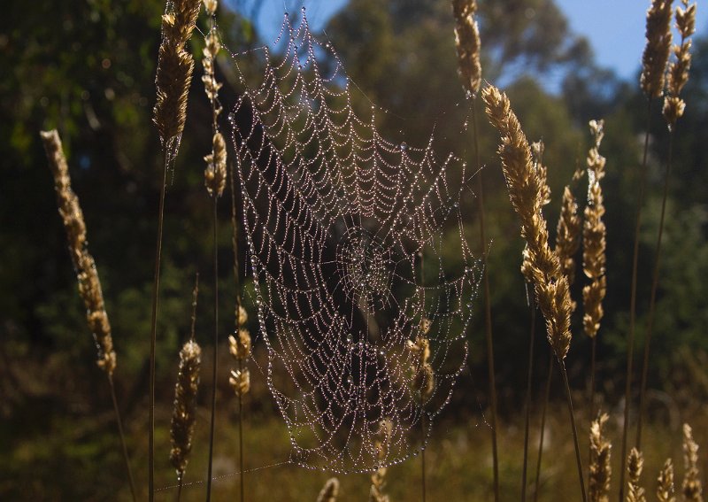 web 2.jpg